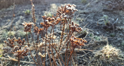 20250203_103739.jpg