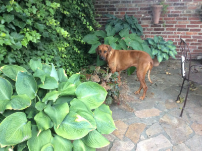 IMG_1074.jpeg