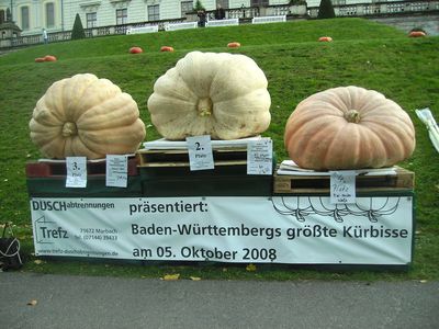 schwerste_Baden-Wurttemberger.jpg