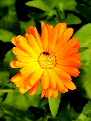 20230618_162359.jpg