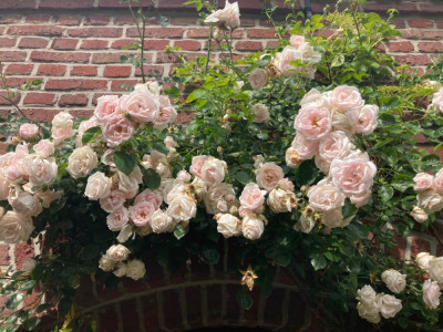 IMG_0813.jpeg