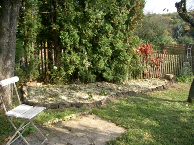 IMGP6435.JPG