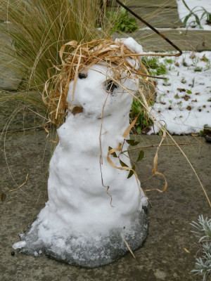 schnee - 1.jpeg