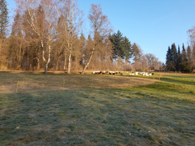 20250208_095032.jpg