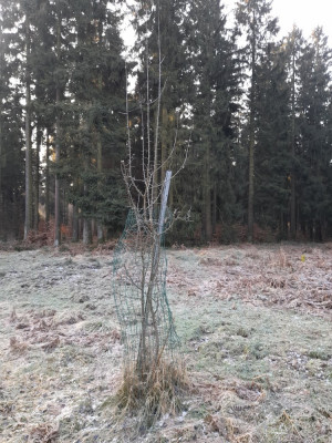 20250208_091553.jpg