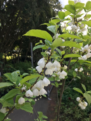 IMG_0862.jpeg