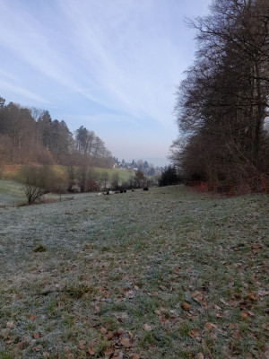 20250209_110344.jpg