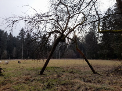 20250209_150652.jpg