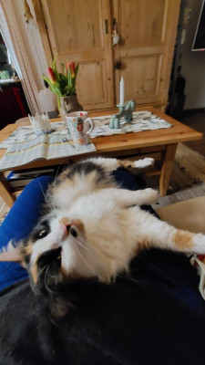 20250209_222306.jpg