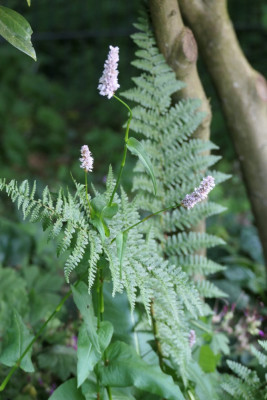 P1000851.JPG