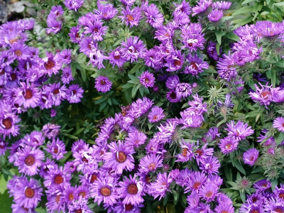 20231022_141621.jpg