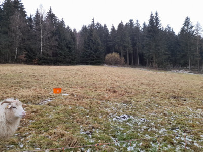 20250211_155055.jpg