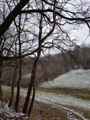 20250211_150107.jpg