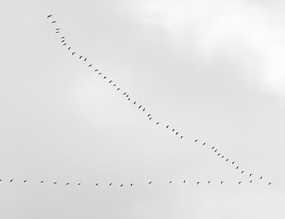 20250212_165614.jpg