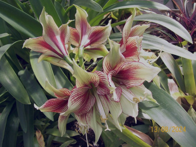 100_9967.jpg