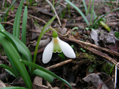 DSCN1723.JPG
