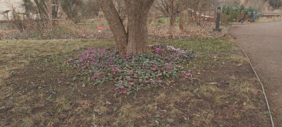 20250213_120212.jpg