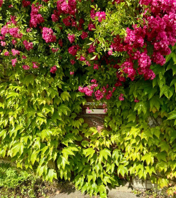a54a3a1c-a713-4c24-bcea-ae85a7982543.jpeg