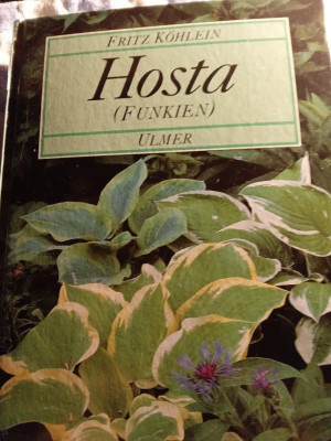 hosta.jpg
