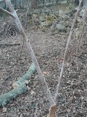 20250214_065651.jpg