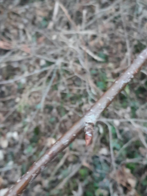 20250214_070013.jpg