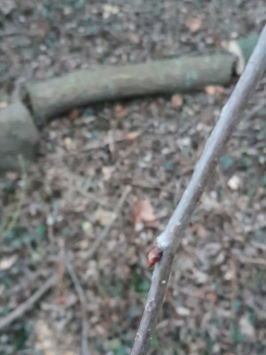 20250214_065706.jpg