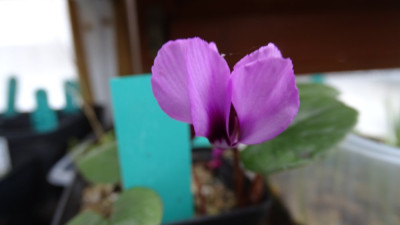 DSC07252.JPG