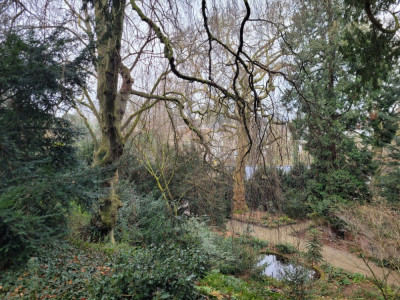 20250214_150942.jpg
