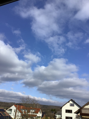 IMG_0482.jpeg