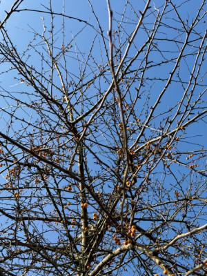 IMG_5945.jpeg
