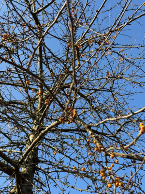 IMG_5944.jpeg