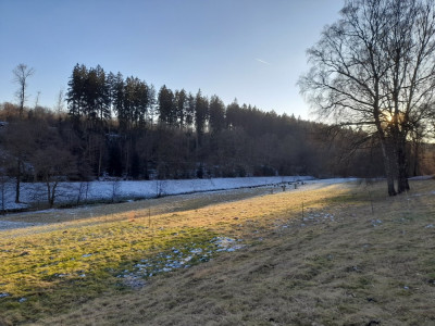 20250217_163653.jpg