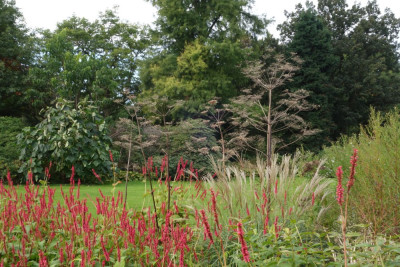 Berggarten.21-19.jpg