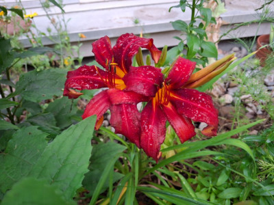 20240622_210049.jpg