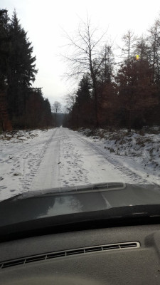 IMG-20250220-WA0000.jpeg