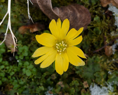 DSC02099_DxO.jpg