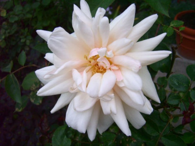 mariegirard-35.jpg