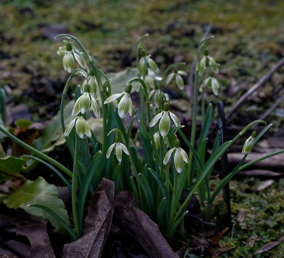 DSC_9466_DxO.jpg