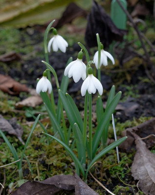 DSC_9473_DxO.jpg