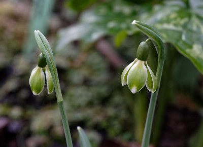 DSC_9487_DxO.jpg