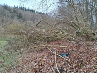 IMG-20250222-WA0009.jpg