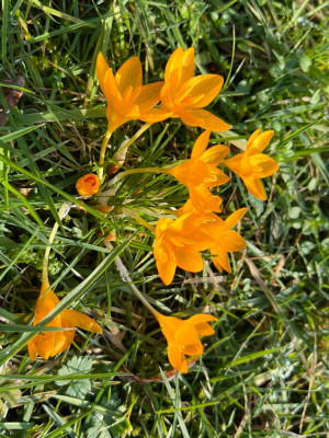 IMG_5070.jpeg
