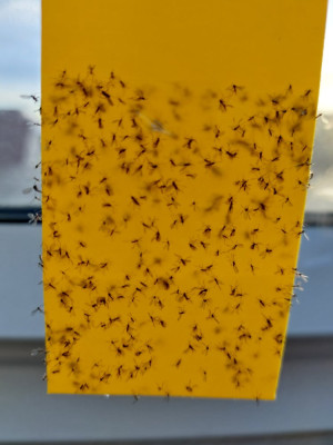 20250223_081853.jpg