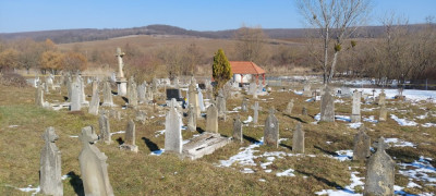 20250221_122356.jpg