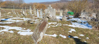 20250221_122838.jpg
