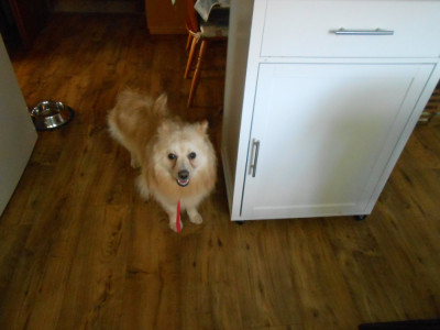 DSCN8248.JPG