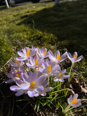 IMG_7012.jpeg