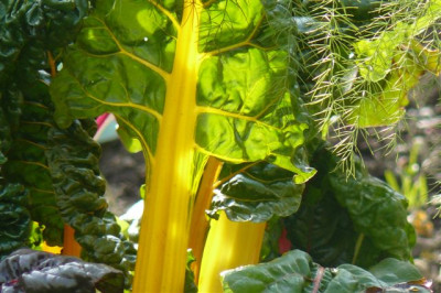 09.10.2008.41.JPG