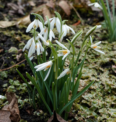 DSC02105_DxO.jpg