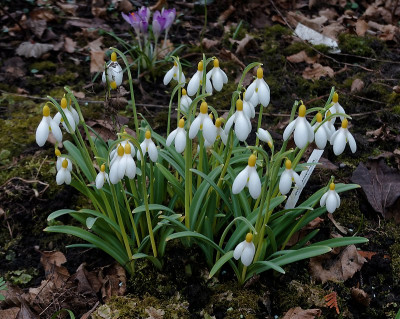 DSC02111_DxO.jpg